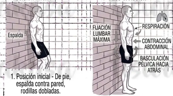 Lumbar control pelvis